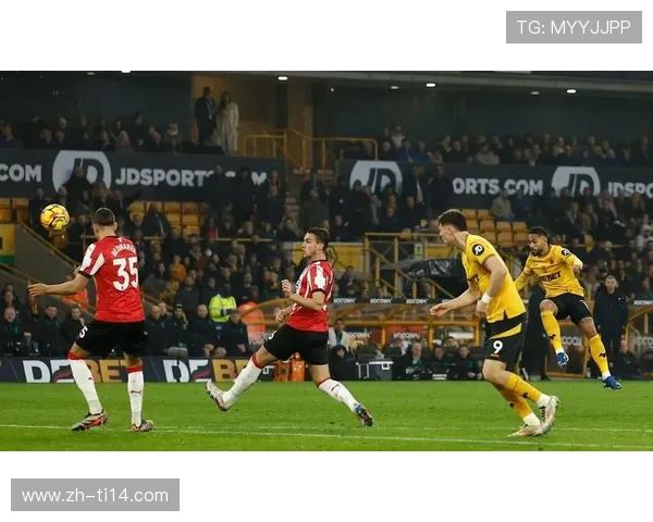 狼队前锋库尼亚在训练中肌肉不适，将接受进一步检查